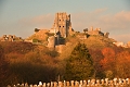 26 01 17_6098_edited-1